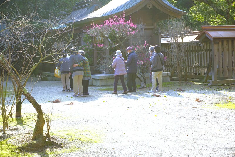 デイケアあがの初詣