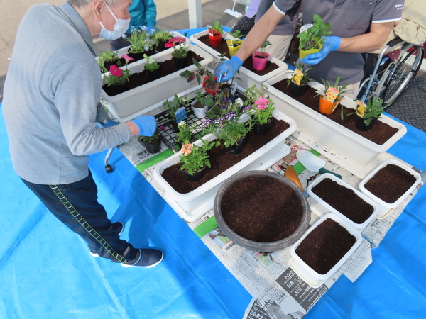 花々の植え付け　デイケアあがの