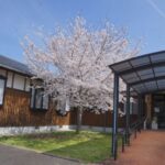 春は桜も綺麗に